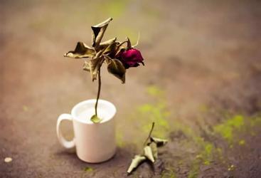 香港人在香港死亡，內(nèi)地子女怎么辦理親屬關(guān)系證明用于公證處辦理財(cái)產(chǎn)繼承手續(xù)？