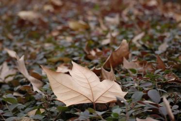 香港死亡證明公證用于內(nèi)地更改婚姻狀況