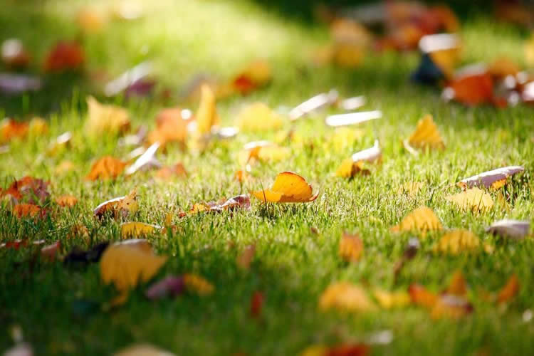 香港死亡證真實性公證用于在北京辦理工商信息變更