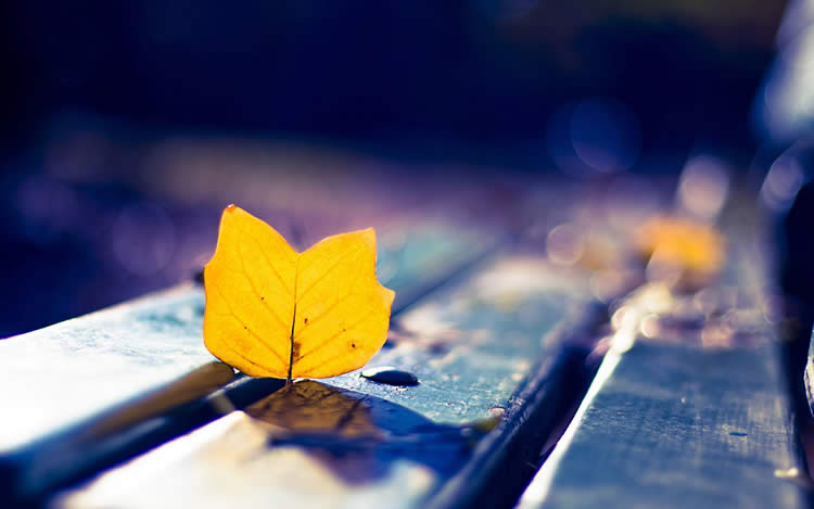 多位香港人士要如何辦理放棄繼承死者享有在內(nèi)地的遺產(chǎn)呢？