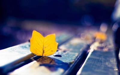 多位香港人士要如何辦理放棄繼承死者享有在內地的遺產(chǎn)呢？