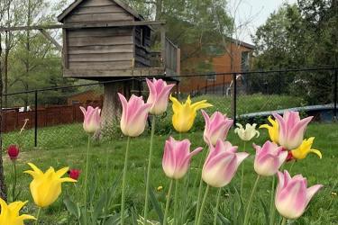 要繼承香港人在內(nèi)地的遺產(chǎn)怎么辦理親屬關(guān)系及遺囑狀況聲明書轉(zhuǎn)遞公證呢？ 