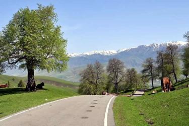 加拿大籍華人要在國內(nèi)貸款買房怎么辦理加拿大護(hù)照翻譯公證認(rèn)證？