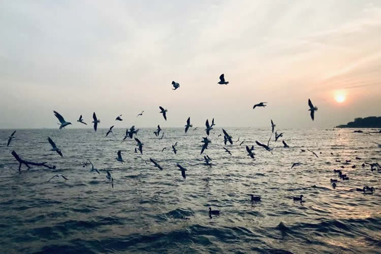 要繼承香港父母在內(nèi)地遺產(chǎn)所需要的公證親屬關(guān)系及遺囑狀況聲明書怎么辦理？