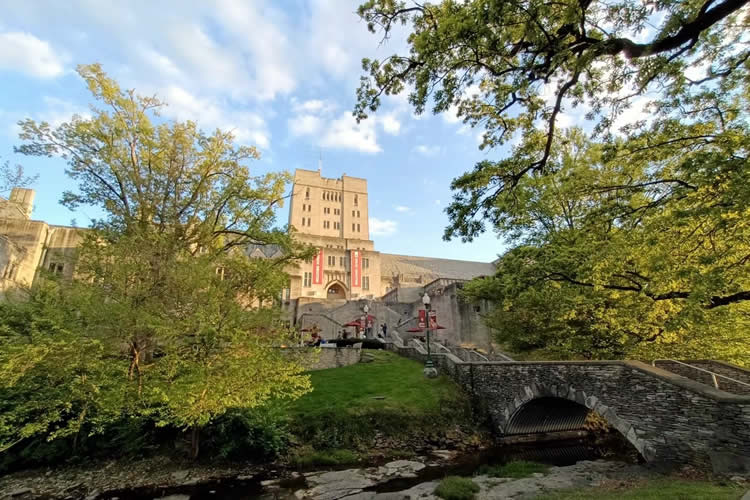 離異的加拿大公民如何辦理單身聲明三級使館認證用于在香港結婚呢？