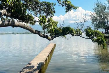 要怎么辦理香港已故人士在香港沒(méi)有婚姻及任何子女的聲明公證書(shū)用于在內(nèi)地法院訴訟呢？