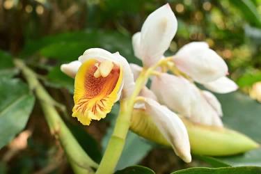 香港人要把內(nèi)地的房產(chǎn)加上配偶名字怎么做香港結(jié)婚證公證呢？