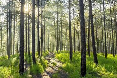 內(nèi)地人的香港離婚絕對(duì)判令要如何做公證用于跟銀行申請(qǐng)貸款呢？