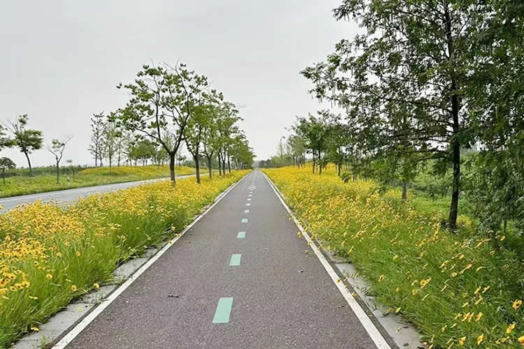 已故親人的香港行街紙怎么做公證用于在內(nèi)地辦理繼承遺產(chǎn)手續(xù)之用