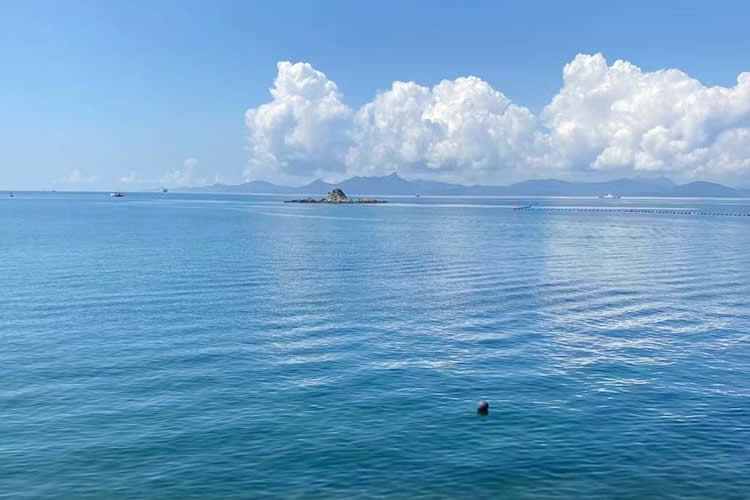 香港公司要在山東省青島市設(shè)立外商投資企業(yè)怎么辦理簡(jiǎn)化版香港公證文書(shū)呢？