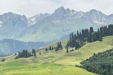 在美國(guó)的臺(tái)灣同胞如何辦理中國(guó)內(nèi)地?zé)o犯罪記錄公證書用于申請(qǐng)美國(guó)簽證？