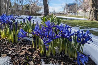 中國(guó)公民是在荷蘭結(jié)婚的現(xiàn)要離婚怎么辦理公證及海牙認(rèn)證手續(xù)呢？