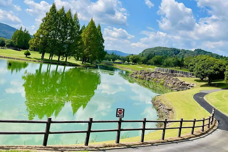 比利時出生紙怎么辦理香港海牙認證用于在澳門讀書呢？