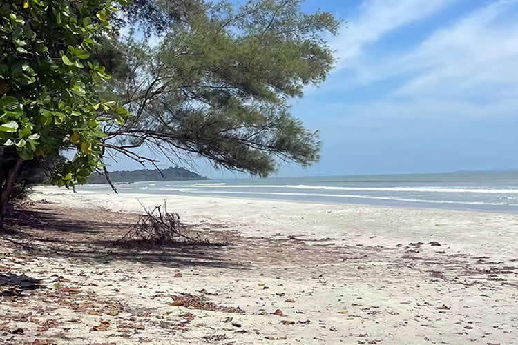 香港夫婦要出售內(nèi)地的房產(chǎn)怎么辦理婚姻及家庭狀況聲明書公證呢？