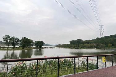 香港居民如何辦理放棄個(gè)人房產(chǎn)份額聲明書(shū)公證呢？