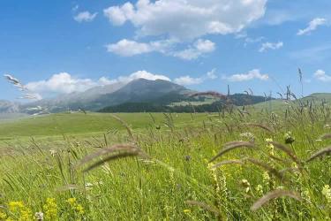 美國公民的香港死亡證明怎么辦理國際海牙認證手續(xù)呢？