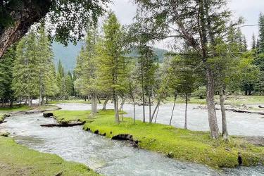 內(nèi)地居民取得香港永居身份后，如何合法有效處理內(nèi)地的資產(chǎn)呢？