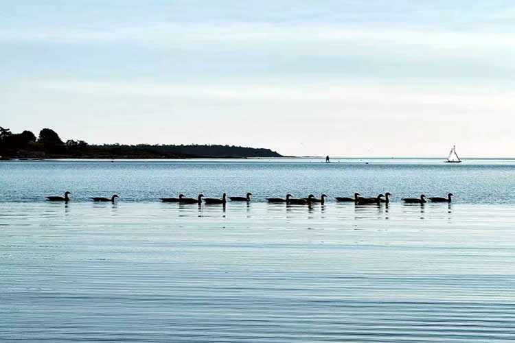 香港人的美國(guó)離婚證明文件怎么辦理美國(guó)海牙認(rèn)證Apostille手續(xù)呢？