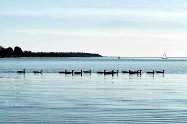 香港人的美國離婚證明文件怎么辦理美國海牙認(rèn)證Apostille手續(xù)呢？