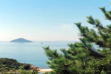 堂侄子要繼承香港姑媽去世后的內(nèi)地遺產(chǎn)怎么做親屬關(guān)系及遺囑狀況聲明書公證呢？