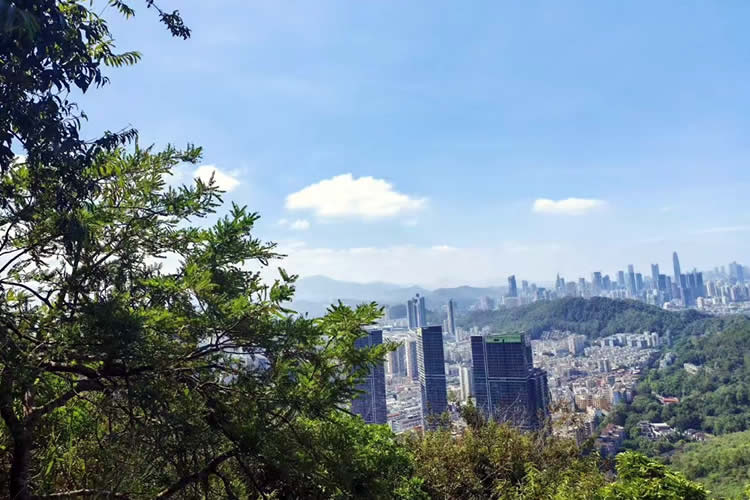 香港公司全套公證用于在新疆維吾爾自治區(qū)阿克蘇市辦理收購股權