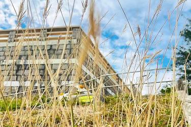  香港個人授權委托書公證用于委托配偶出售未成年子女的內地房產